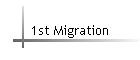 1st Migration