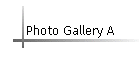 Photo Gallery A
